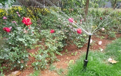 亨特灌溉扮靓昆明长水国际机场