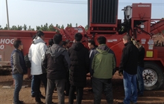 覆盖物 - 绿色产业新发展