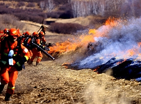  应急救援 林业病虫害防治              